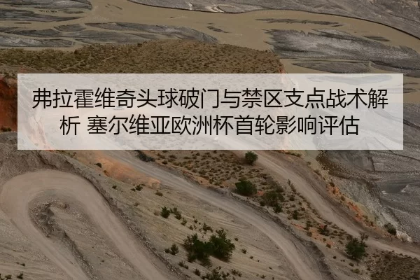 弗拉霍维奇头球破门与禁区支点战术解析 塞尔维亚欧洲杯首轮影响评估
